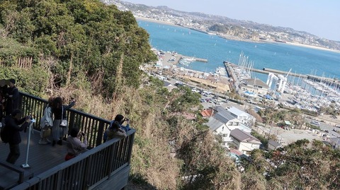 20190223120134_IMG_1024