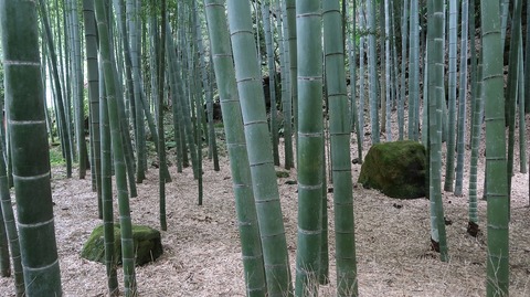 ScreenShot Tool -20250911222435_result_