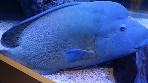 20220730181325_IMG_5305