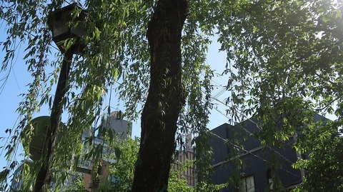 20220430152627_IMG_3661