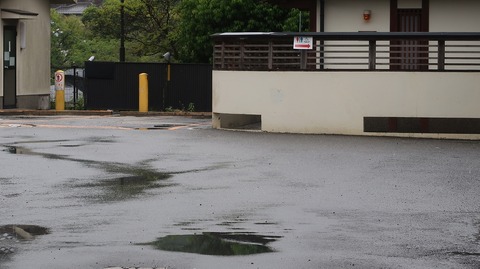 20220501130839_IMG_3741