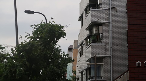 20230610174345_IMG_8514