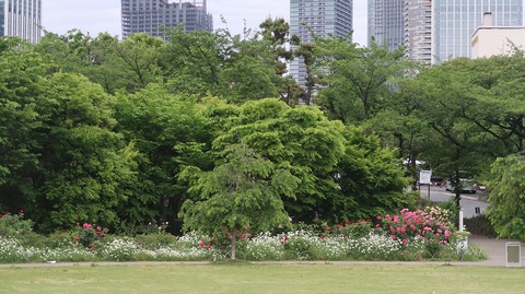 20220508180155_IMG_4213