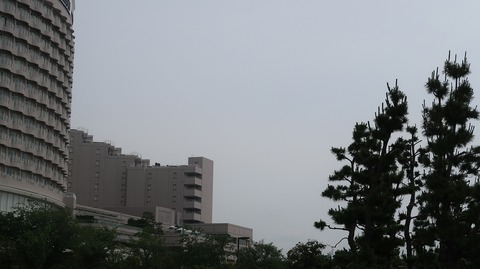 20230610154936_IMG_8470