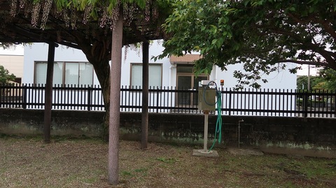 20210501174156_IMG_1265