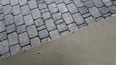 20220611180049_IMG_4617