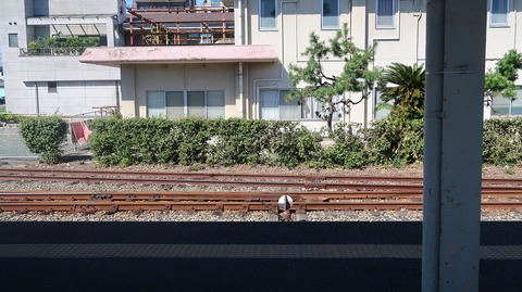 20230814152334_IMG_9099