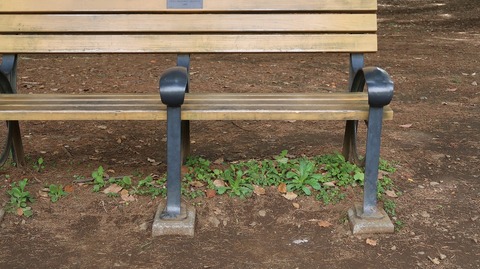 20220417141438_IMG_3539