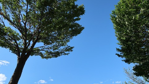 20190616152838_IMG_2607