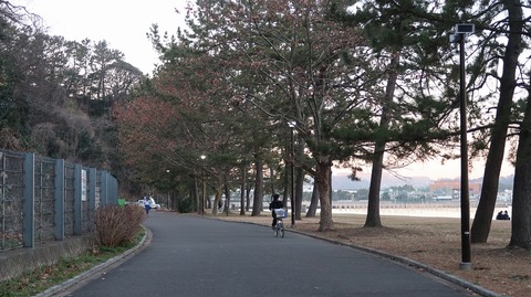 20210206172236_IMG_0284