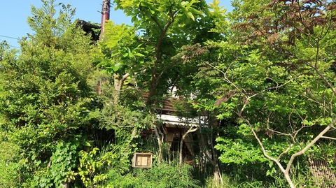 20190525164024_IMG_2479