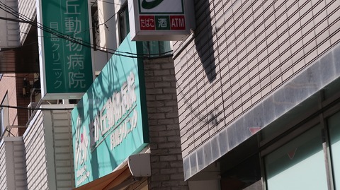 20230504152648_IMG_8135