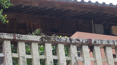 20200810122754_IMG_7214