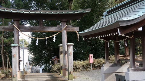 20190210140945_IMG_0938