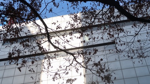 20231216111310_IMG_0783