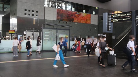 20220811151848_IMG_5550