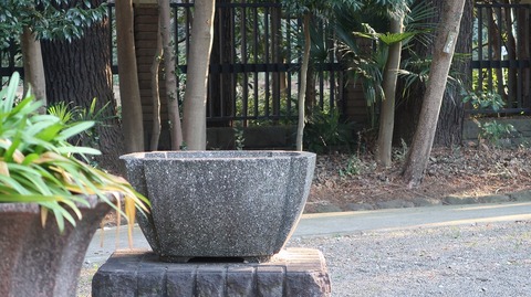 20230108144433_IMG_7510