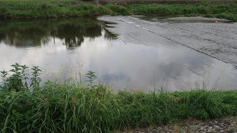 20220812154521_IMG_5722