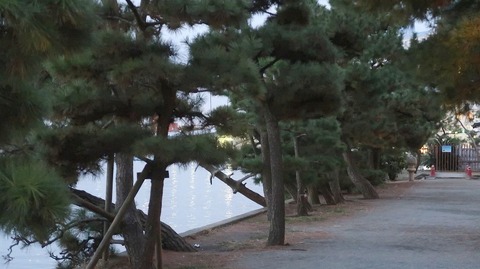 20221127164923_IMG_7138