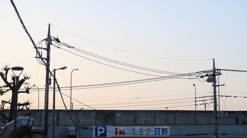 20220410181040_IMG_3458