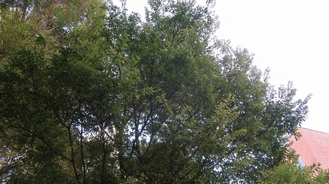 20221030144659_IMG_6801