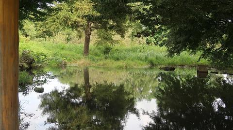 20200920112227_IMG_7948