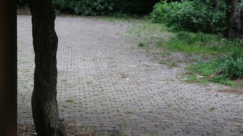 20220611181042_IMG_4632