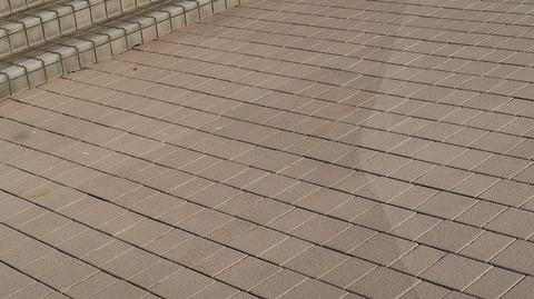 20210515182447_IMG_1530