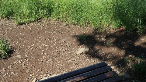 20190616152528_IMG_2602