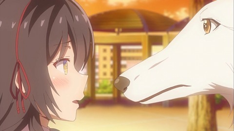 20200921110100_IMG_8102_