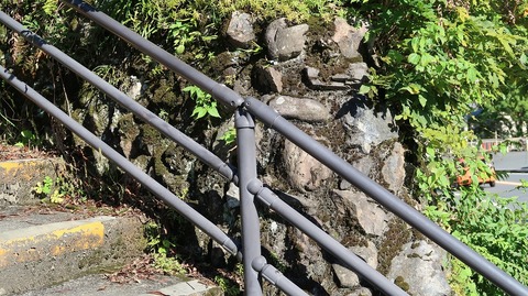 20201025140808_IMG_8702