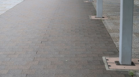 20220812132459_IMG_5575