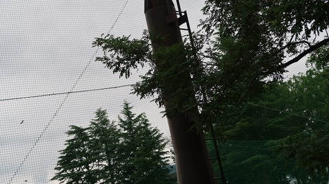 20190714154400_IMG_2950