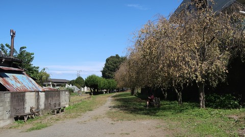 20231007110843_IMG_9590