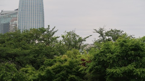 20220508175450_IMG_4205