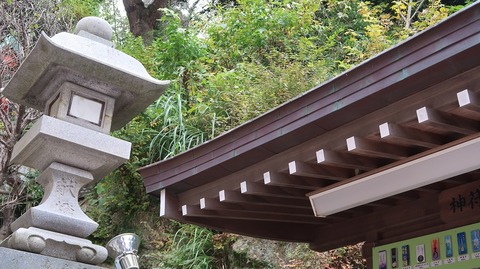 20221217120656_IMG_7384