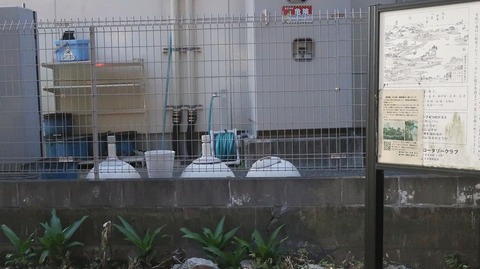 20221127165043_IMG_7141