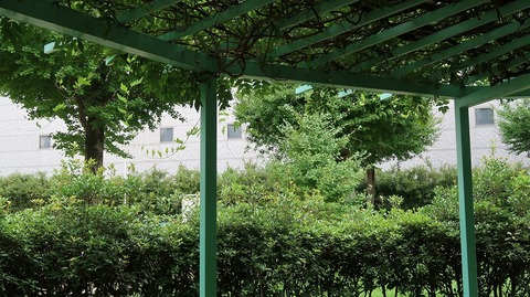 20220812140129_IMG_5689