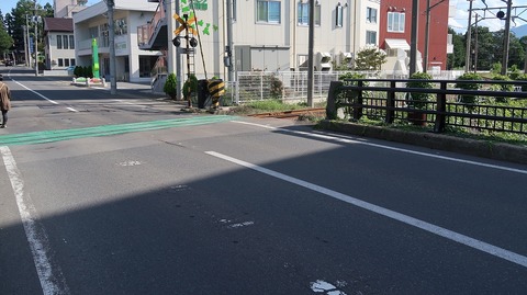 20200919142333_IMG_7851