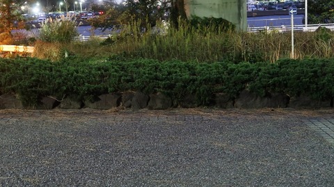 20211205172124_IMG_2434