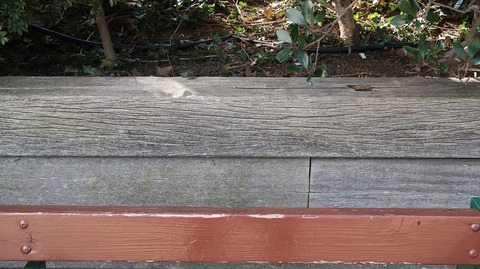 20210213115831_IMG_0399