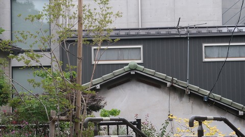 20230513173712_IMG_8311