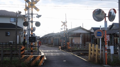 20200801172530_IMG_6935