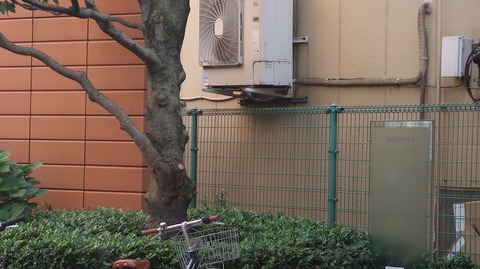 20230527163839_IMG_8389