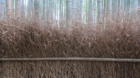 20200808095044_IMG_7036