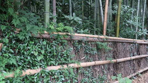 20200808103250_IMG_7081