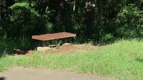 20190616152630_IMG_2604