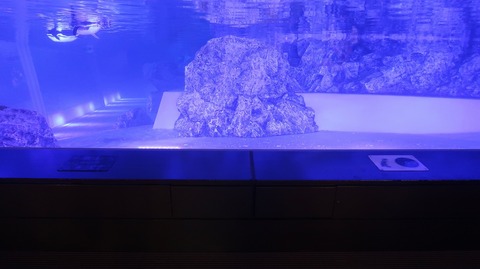 20220730190503_IMG_5316