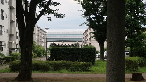 20220723153841_IMG_5189