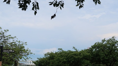 20220807153225_IMG_5431